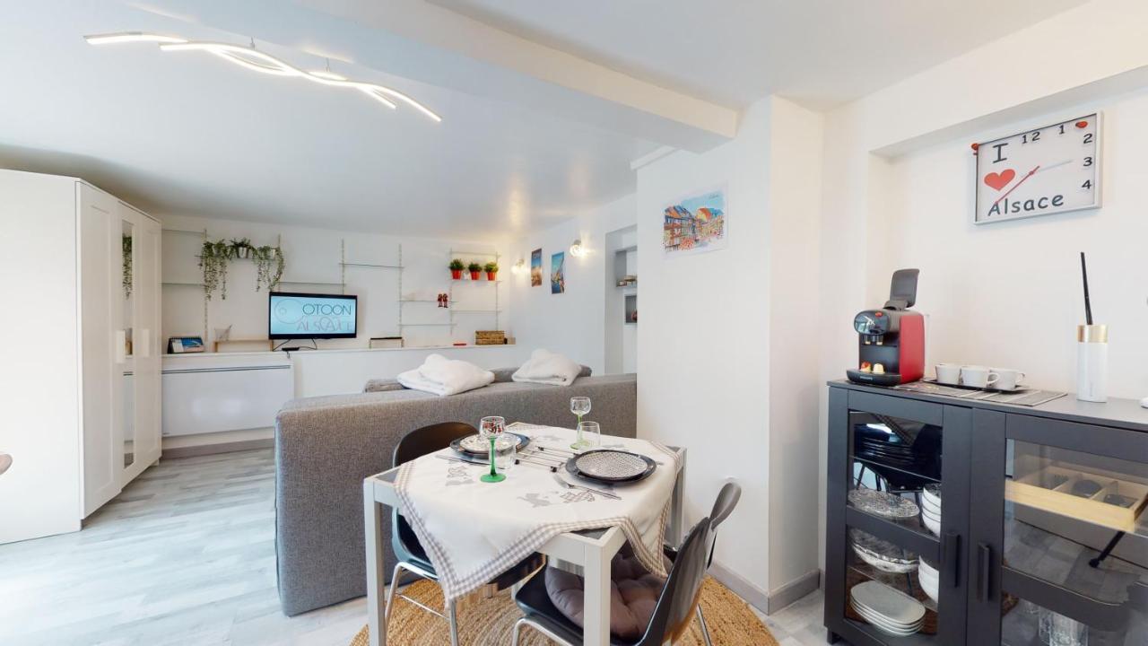 Studio Avec Parking Rue De La Semm 콜마 외부 사진